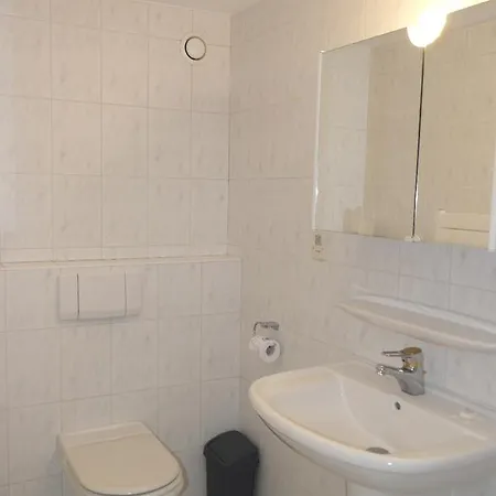 Apartman Dolfijn *